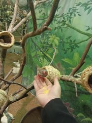 -Zoolung Zoolung动物主题公园(海信广场店)