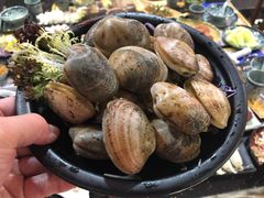 -成都老码头火锅(旺角店)