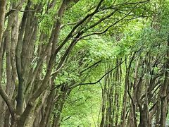 -同里国家湿地公园