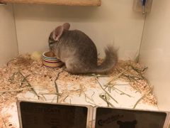 -龙猫仔乐园(惠福东路店)