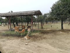 -西安秦岭野生动物园