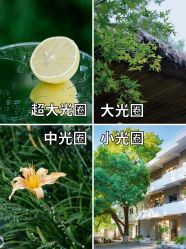 -WAVE SODA摄影工作室