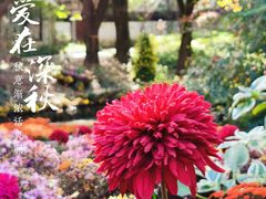 -汇龙潭
