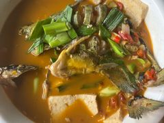 黄刺鱼炖豆腐-丰乐餐厅·始于1999·本地老字号