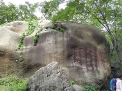 唯一的照相景点，石头上还是假叶子-云岫谷自然风景区