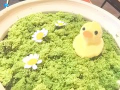 -啫胜(西城红场店)