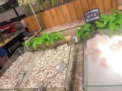 -大山炭火烤肉自助(百盛步行街广场店)
