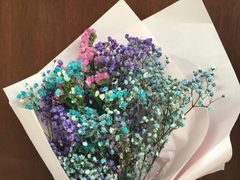 -双季花艺园艺市场(浦东店)