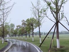 -洋湖国家湿地公园