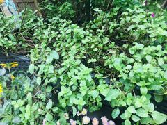 -艾加柒克蛋糕茶歇甜品台(春熙路店)