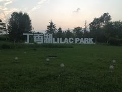 -丁香湖公园