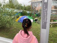 -苏州太湖国家湿地公园