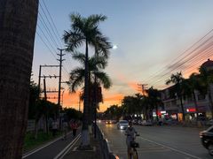 -东莞植物园
