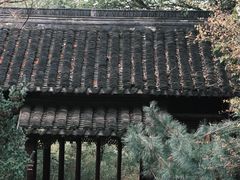 -八大山人梅湖景区
