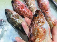 -浙C老邻舍(西城海错店)