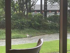 景观位-扬州香格里拉·香宫中餐厅