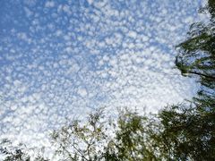 -石景山区图书馆(八角南路)