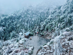 -金子山原生态旅游风景区