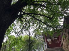 -岳麓山风景名胜区