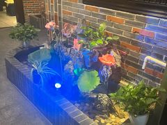 -富侨养生(光大会展店)