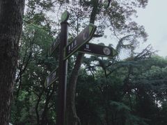 -成都动物园