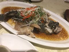 -阿英煲(凉城路店)