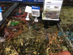 -盒马鲜生(皇庭广场店)