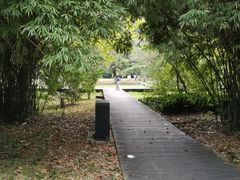 -花溪公园