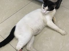 -鑫宝沙茶牛肉火锅(永泰店)