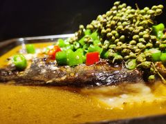 -探鱼·鲜青椒爽麻烤鱼(苏宁广场店)