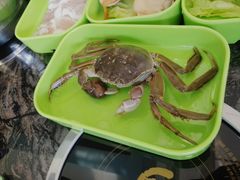 -蚝专家