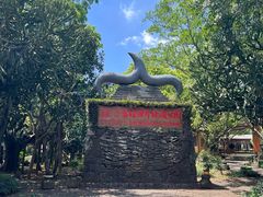 -海口火山口国家地质公园