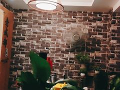 -老成都·古法采耳·禅洗头疗(四川总店)