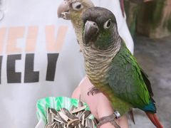 -昆明动物园
