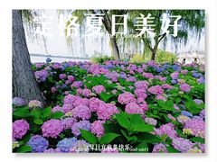 -金银湖国家城市湿地公园