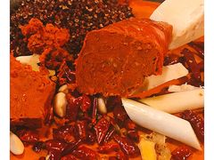 -星鸿社重庆老火锅(燃灯寺分店)