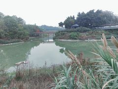 -广东花都湖国家湿地公园