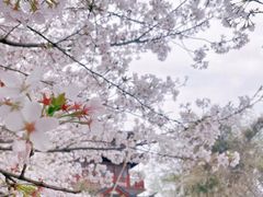 -堤角公园