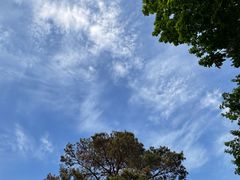 -长春公园(普阳街道)
