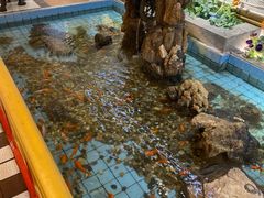 -良友·海鲜青岛菜(五四广场店)