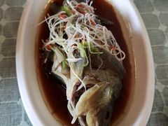 高原雪山鱼-小厨子私房菜·云南美食店