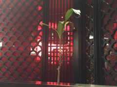 -文峰大世界(南大街店)