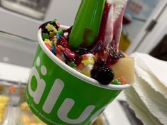 -Salud撒露欧洲冻酸奶(五道口购物中心店)