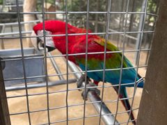 -南宫五洲植物乐园