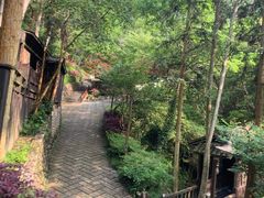 -天明山温泉大酒店