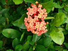 -星巴克(济宁万达广场店)