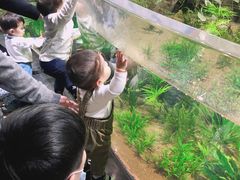-江和美海洋公园