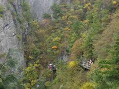 -秦岭天竺山景区