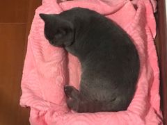-苏格里岛自助海鲜火锅烧烤(神农店)