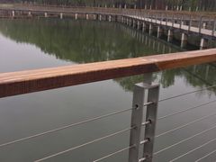 -昆山城市生态森林公园